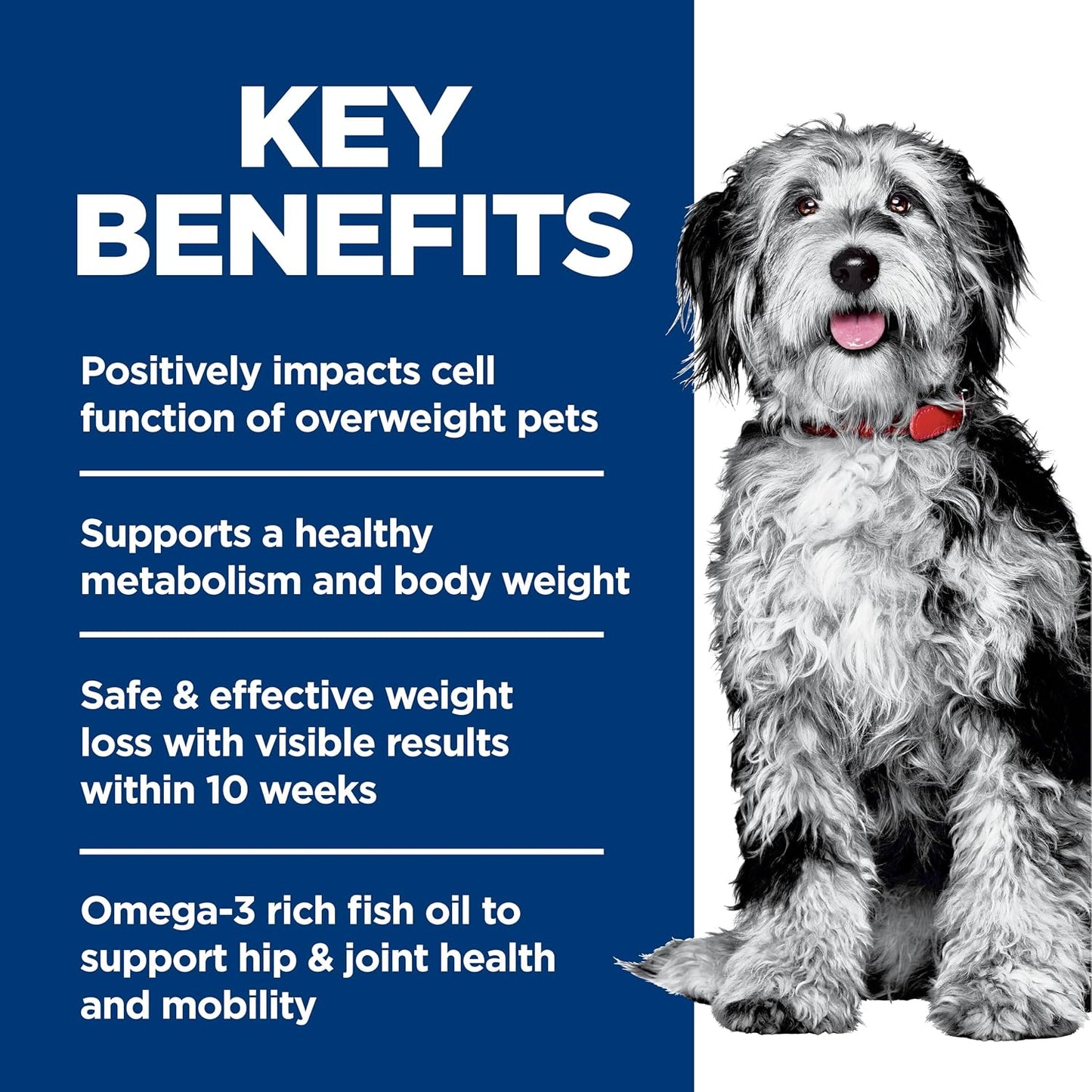 Hill'S Science Diet Adult Perfect Weight & Joint Support Dry Dog Food, Chicken, 12 Lb. Bag