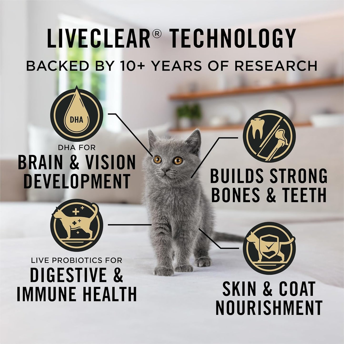 Purina Pro Plan Liveclear Dry Cat Food for Kittens Cat Allergen Reducer Chicken and Rice Formula - 5.5 Lb. Bag